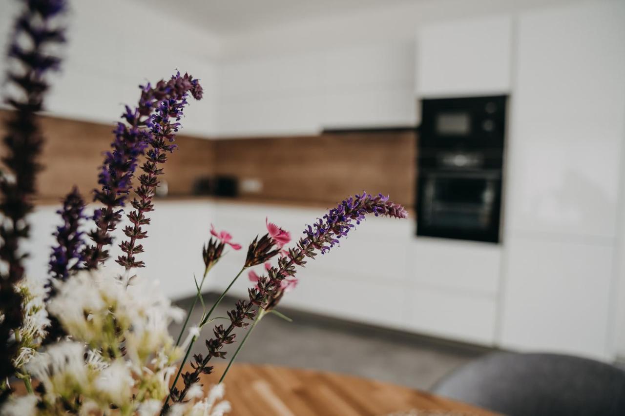 הרניצה Apartman Usti מראה חיצוני תמונה